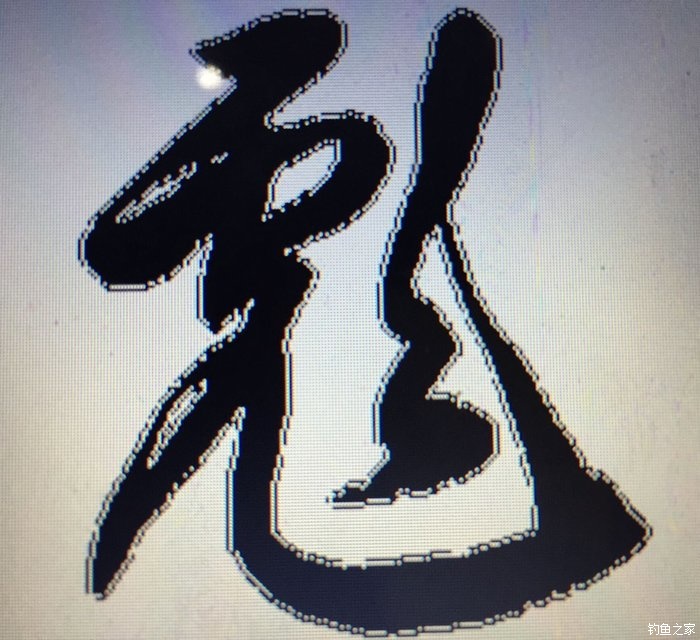 春天钓鲫鱼,春天钓黑坑新鱼