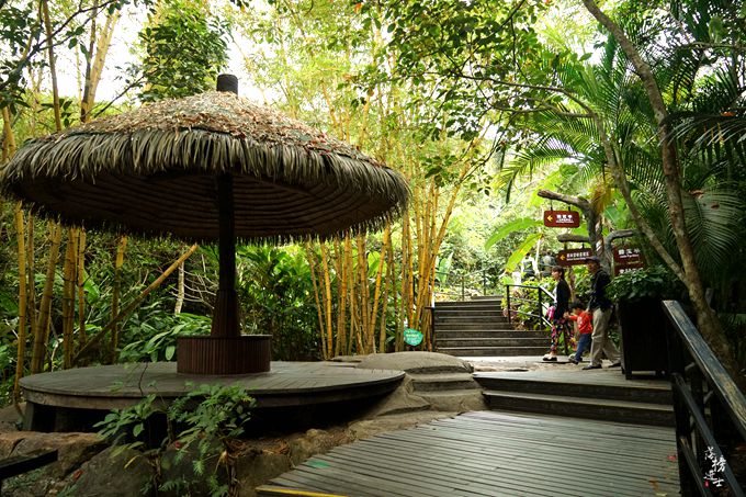 呀诺达，拾起我童年记忆的热带雨林