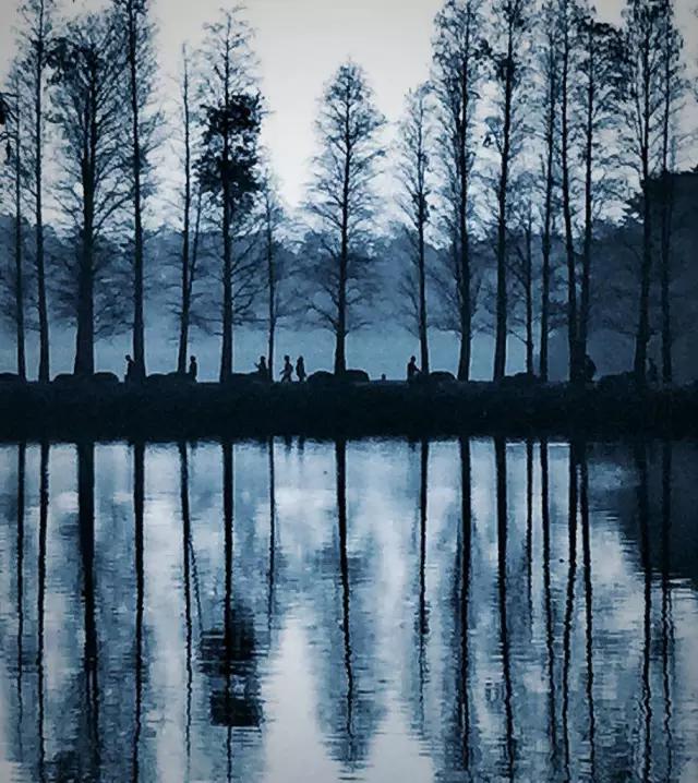 CMPA|2016年3月7日编辑推荐作品