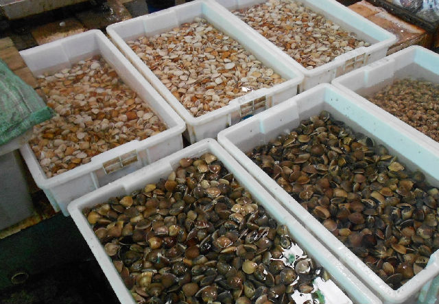 吐血编辑，三亚所有吃的都在这儿了，不吃也来瞧一瞧啦。