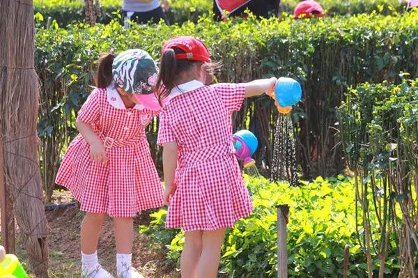 亚龙湾红树林酒店室内玩乐,亚龙湾红树林酒店潜水体验