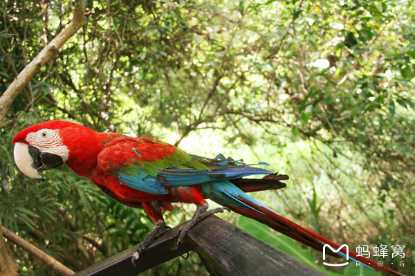 一起去三亚旅游就是最好的陪伴,三亚攻略自由行情侣