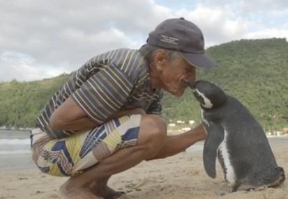 5000公里的约定，人与企鹅惊世的奇缘！