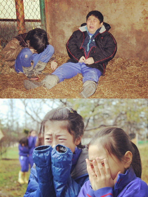 日本农村杀猪 (川式杀猪)