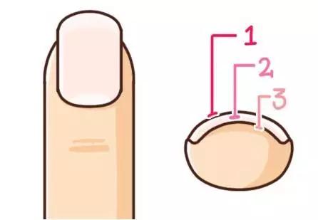 剪指甲的时候为什么会飞出去,为什么剪指甲指甲会乱飞