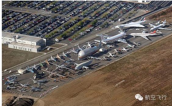 变异变形飞机,变异飞机鹦鹉