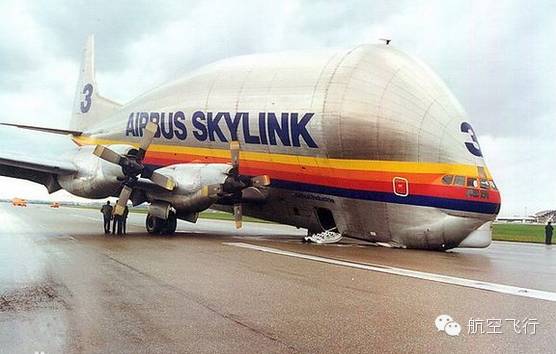 变异变形飞机,变异飞机鹦鹉