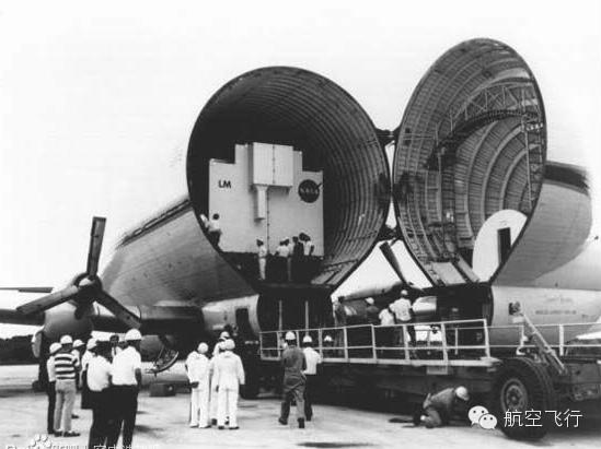 变异变形飞机,变异飞机鹦鹉