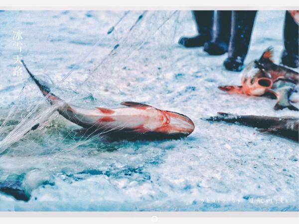 牧马少年歌曲完整版,牧马少年草原