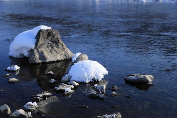 牧马少年歌曲完整版,牧马少年草原