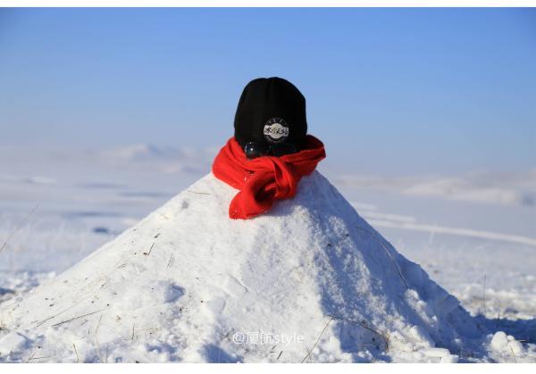 牧马少年歌曲完整版,牧马少年草原