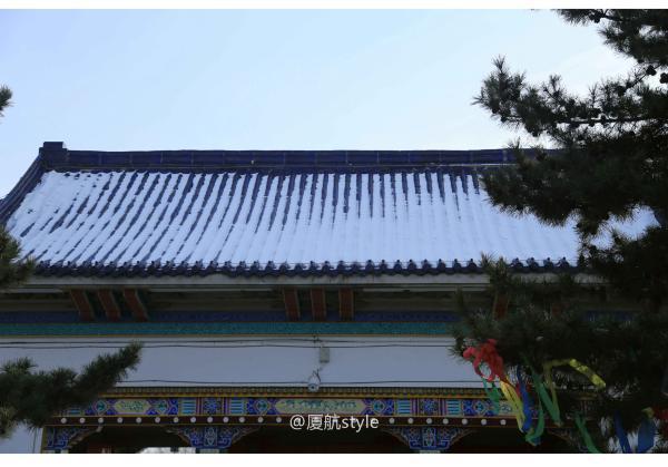 牧马少年歌曲完整版,牧马少年草原