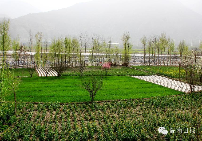 新闻资讯我县春耕春播热火朝天,春耕忙新闻