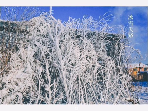 牧马少年歌曲完整版,牧马少年草原