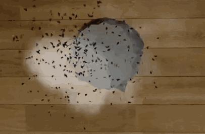 一周吐槽：开着VPN去LOL日服“抗日”结果发现那只是个国服新区