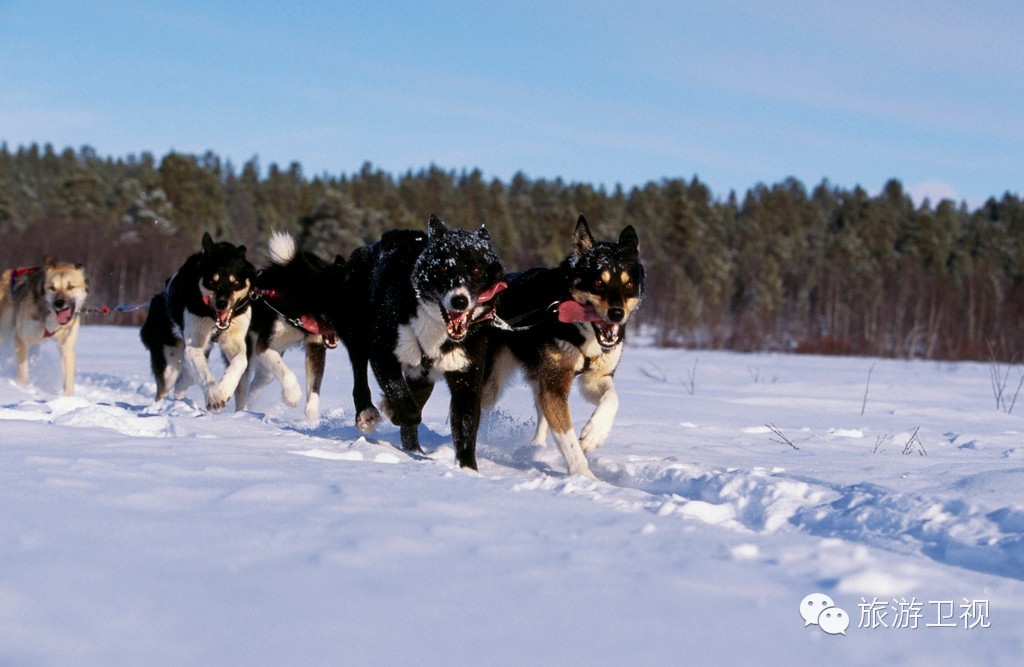 娼帺鍋囨湡,娼帺鍋囨湡鐜╄浆鏄ュぉ