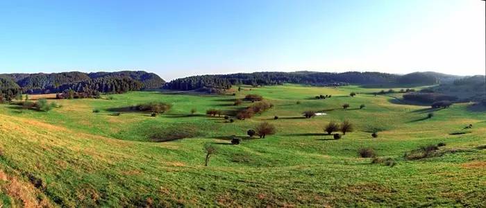 重庆免费景区有哪些地方,重庆景区有哪些景点门票免费