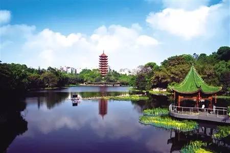 重庆免费景区有哪些地方,重庆景区有哪些景点门票免费