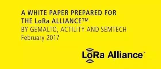 lora技术深度解析,深度解析lora