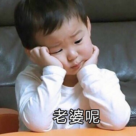 狗自己背的户外小背包,狗主人背包