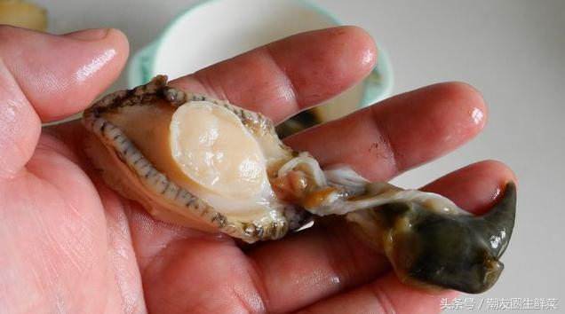 吃海鲜这些事一定要注意,吃海鲜了哪些水果不能吃