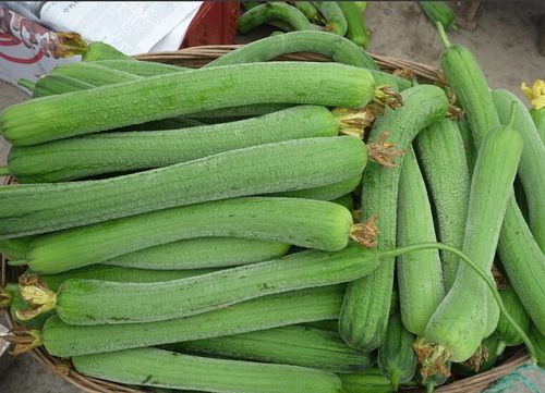 丝瓜中毒症状,丝瓜中毒