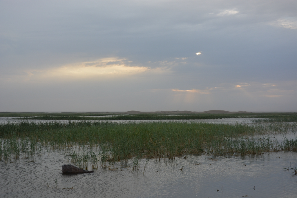 西安到阿拉善左旗自驾游攻略,西安到阿拉善三日游