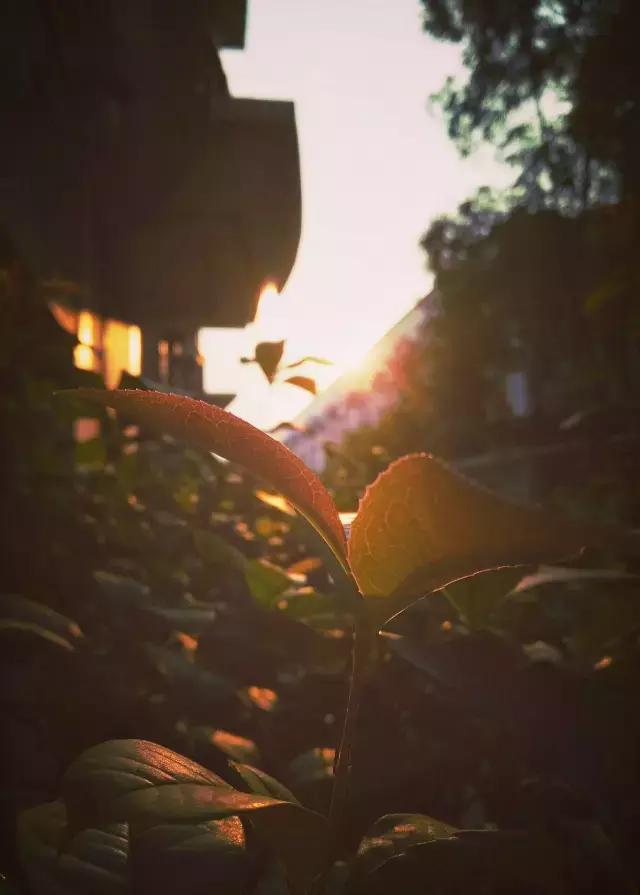 摄影背景模糊人物清晰,变焦模糊摄影教程