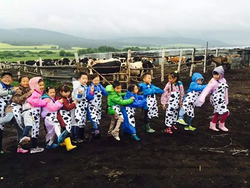 若尔盖草原房车营地,草原深处的房车营地