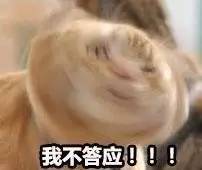 西伯利亚发现完整巨熊尸体,俄罗斯发现海豹尸体