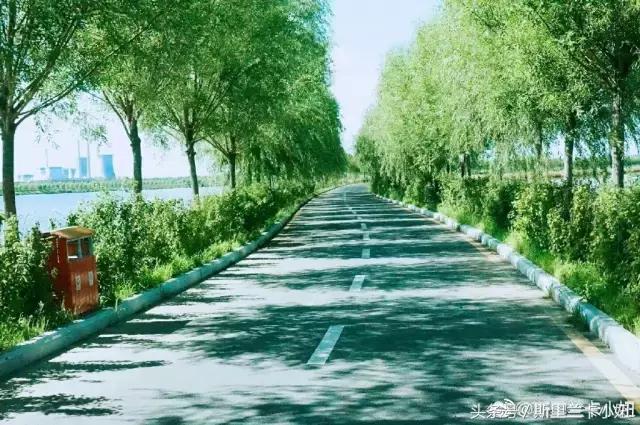 黑龙江十大必游景点推荐,黑龙江最值得去的景点