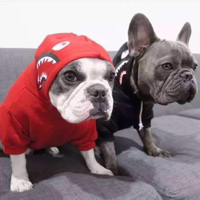 200块钱左右的礼物,200块钱礼物