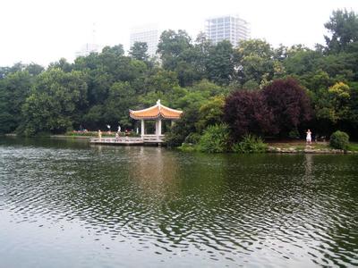 有关合肥市出租房政策,合肥公租房配租最新政策