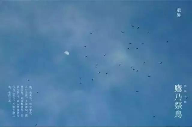 夏未央秋渐凉处暑,处暑夏未央秋意渐浓天渐凉