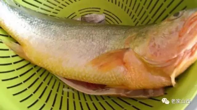 雪菜烧黄鱼的家常做法窍门,雪菜烧黄鱼的做法视频窍门