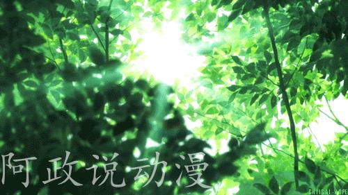 安利一部你们喜欢的动漫,推荐一部你看过3遍的动漫