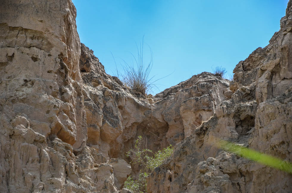 宁夏沙坡头水洞沟,宁夏水洞沟游