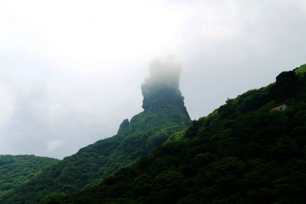 天天有人去山上采蘑菇,每天来观看的游客上万人