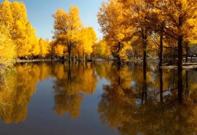 三千年的情缘,三千年的企盼只为这一季的金秋(附攻略)