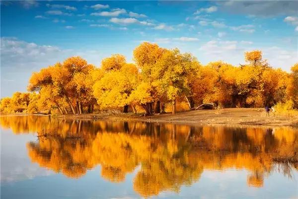 三千年的情缘,三千年的企盼只为这一季的金秋(附攻略)