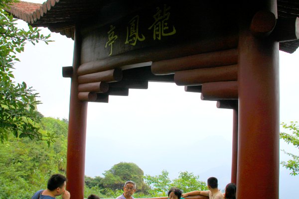 天天有人去山上采蘑菇,每天来观看的游客上万人