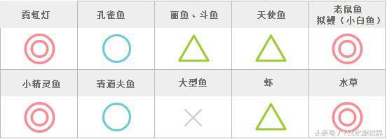 用简单的方法让鱼缸变的更清澈,掌握这些技巧让你的鱼缸更加清爽