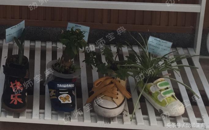 自然角创设分布图,自然角布置幼儿园