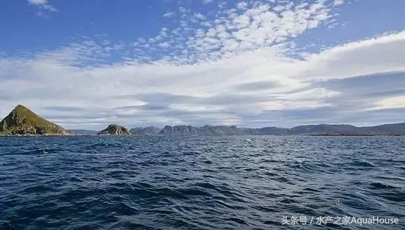 8月水产品价格表,7月水产品批发市场价格简报