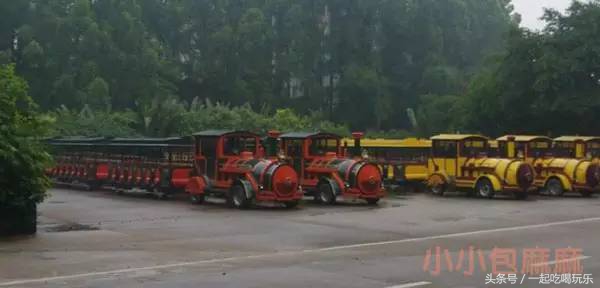 带宝宝长隆野生动物园旅游攻略,广州长隆野生动物园旅游攻略