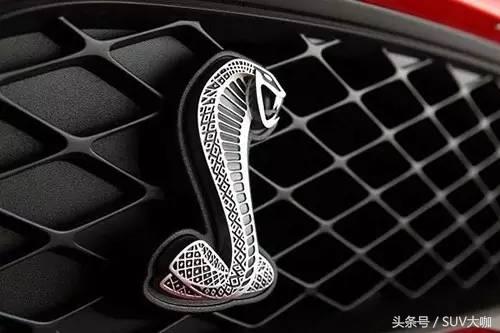 车标代表动物有什么车型,车标是一只奔跑的动物