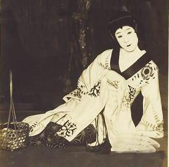 霓虹歌舞伎町,日本的传统歌舞伎