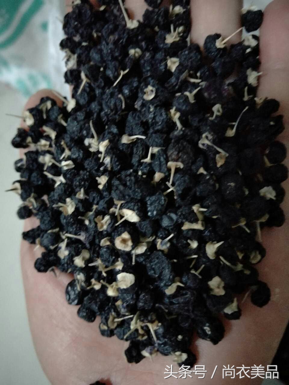 新疆黑枸杞新鲜,最新鲜的黑枸杞