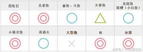 用简单的方法让鱼缸变的更清澈,掌握这些技巧让你的鱼缸更加清爽