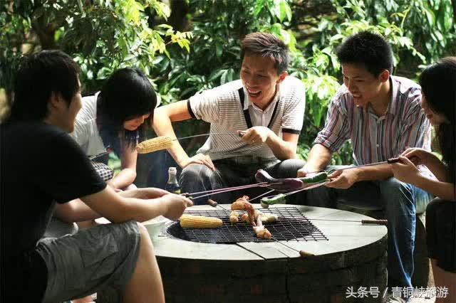 古尔邦节去哪儿玩？青铜峡大青葡萄摘起来！错过还得等一年！